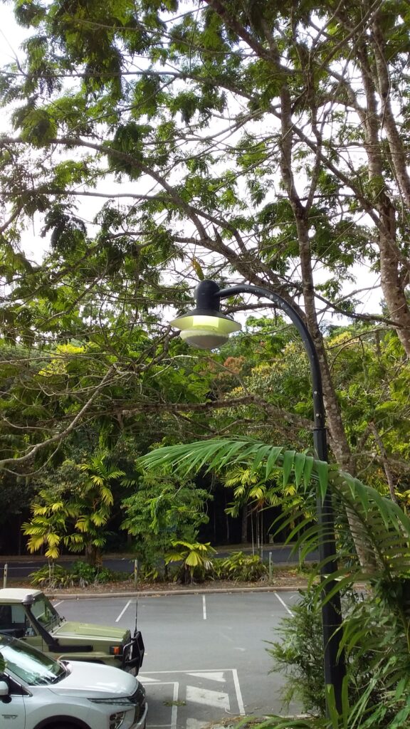 Kuranda CBD Lighting (2)