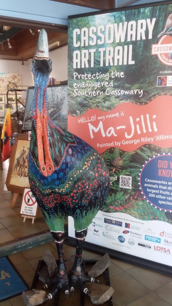 Mareeba Shire Council Monthly Roundup October 2024